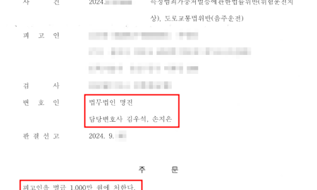 음주운전 나만의스토리 벌금형 판결문